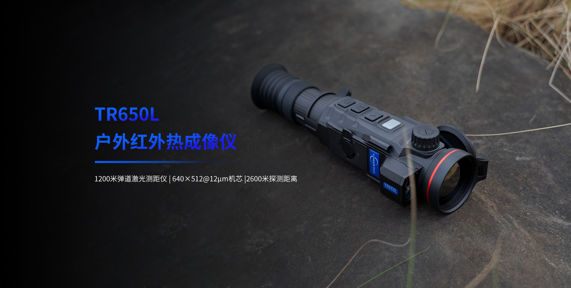 LGT中文-TB首页端4