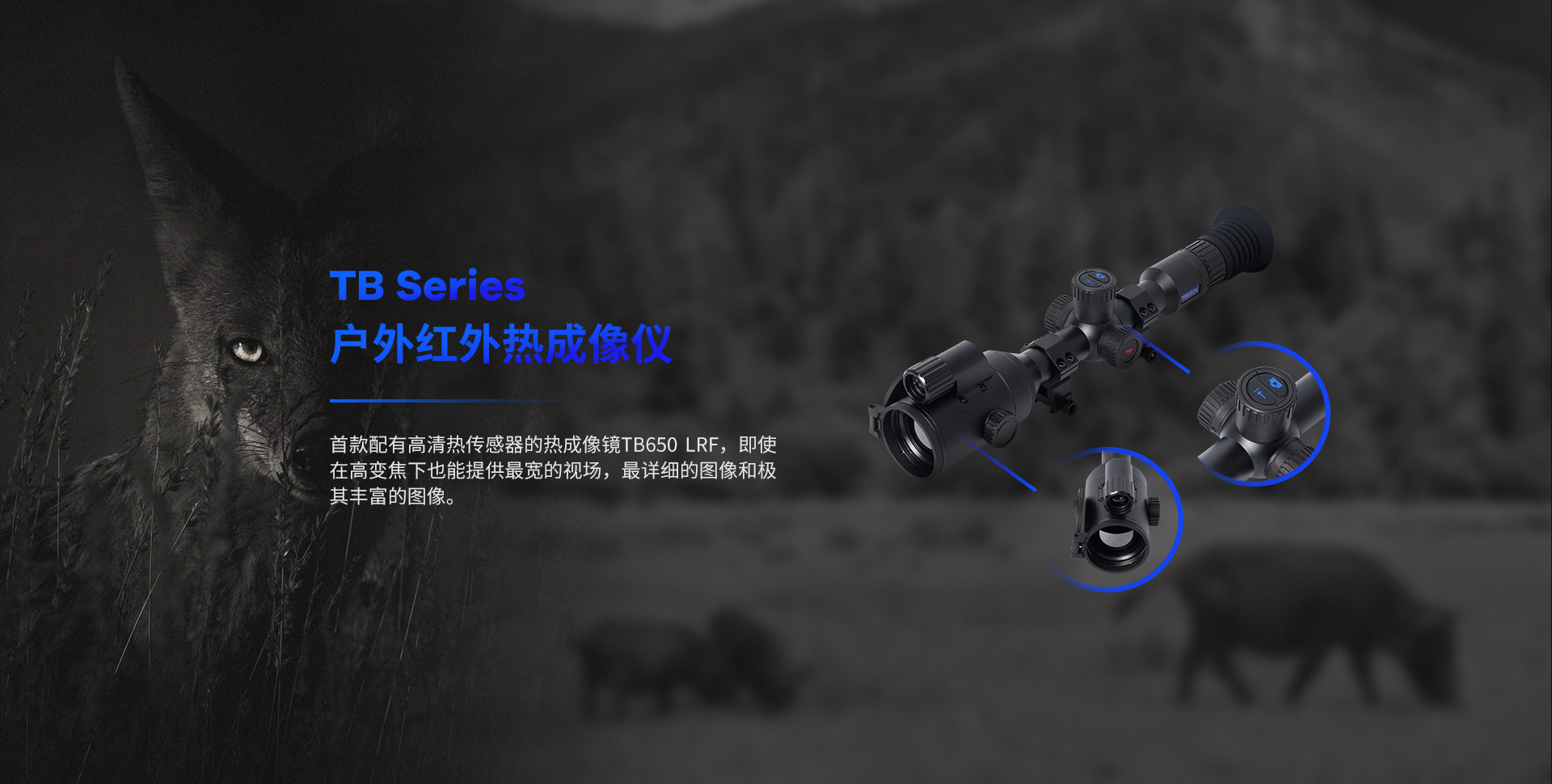 LGT中文-TB首页端1